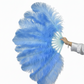 Single Layer Beginner’s Ostrich Feather Fan 24"x 41"