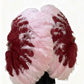 The Half-Moon Master Mix Color Fan - 180° Triple Layer Ostrich Feather Fan 35"x 69"