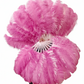 Single Layer Beginner’s Double-Sided Stage Ostrich Feather Fan 25"x 47"