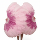 The Half-Moon Advanced Mix color Fan -  180°  2 Layer Ostrich Feather Fan 30"x60"