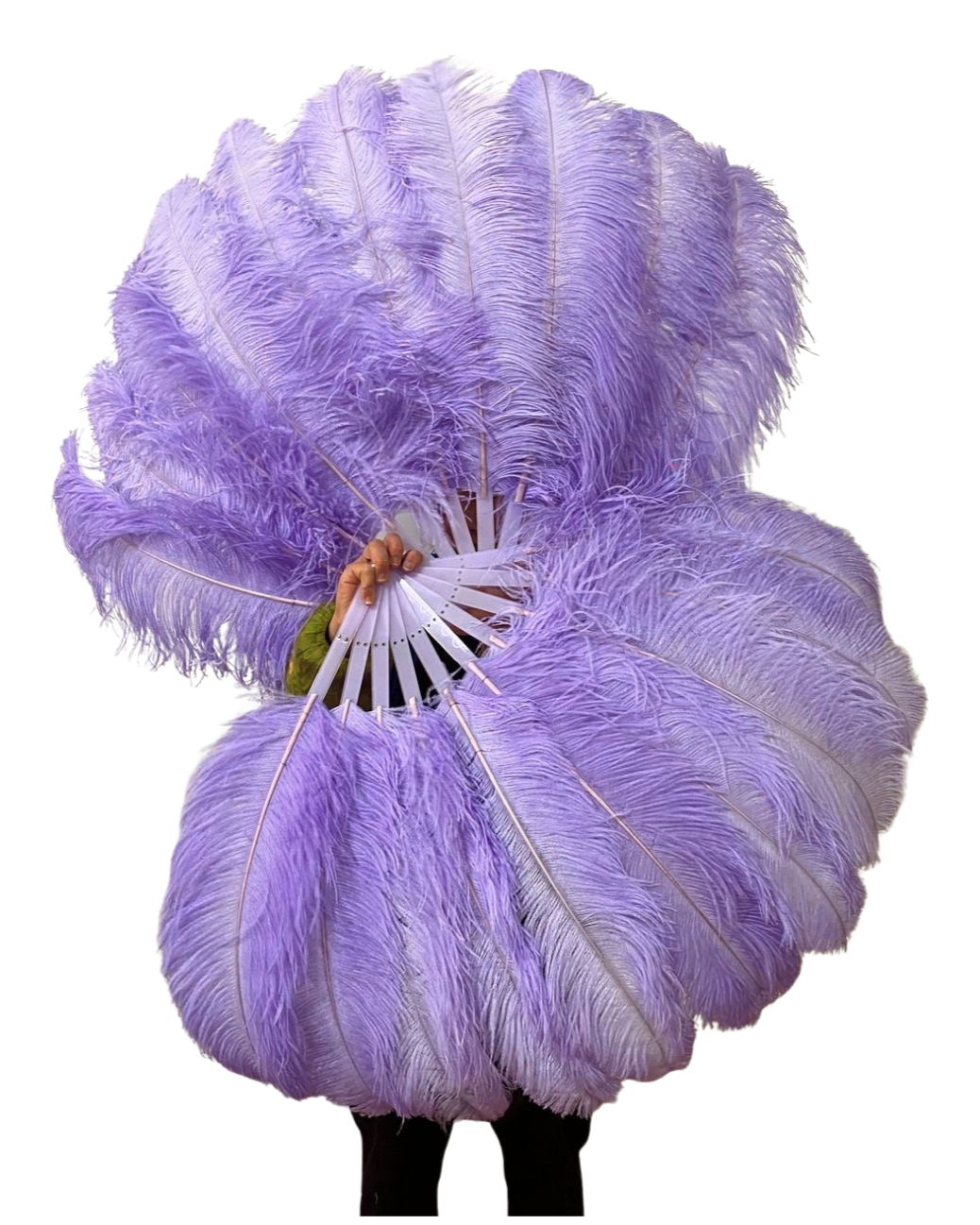 Single Layer Beginner’s Ostrich Feather Fan 24"x 41"