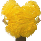 Single Layer Beginner’s Ostrich Feather Fan 24"x 41"