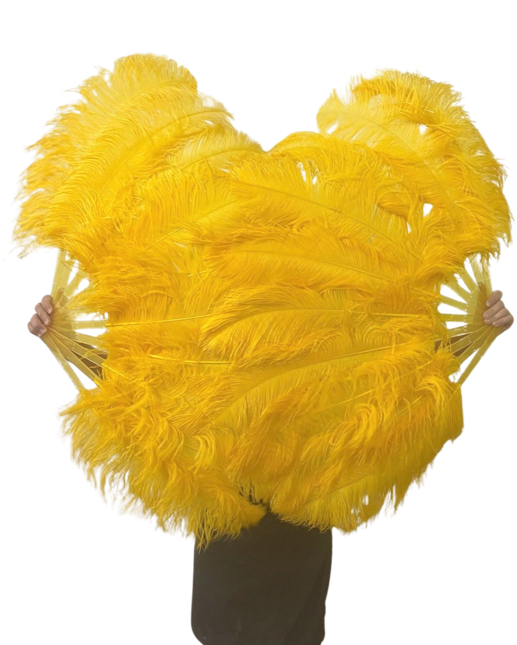 Single Layer Beginner’s Ostrich Feather Fan 24"x 41"