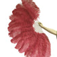 The Half-Moon Beginner's Double-Sided Stage Fan - 180° Single Layer Ostrich Feather Fan 25"x52"