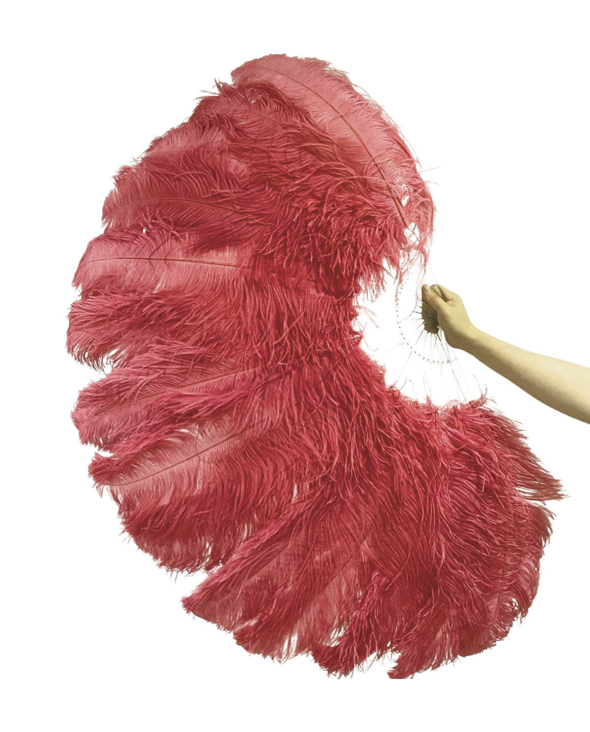 The Half-Moon Beginner's Double-Sided Stage Fan - 180° Single Layer Ostrich Feather Fan 25"x52"